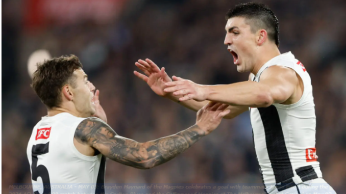 Collingwood premiership defender Brayden Maynard